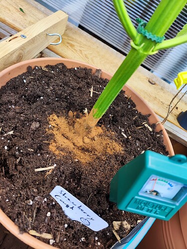 Growreport Bild 18