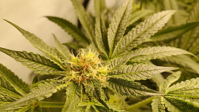 Growreport Bild 11