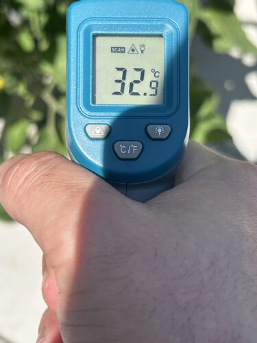 Growreport Bild 41