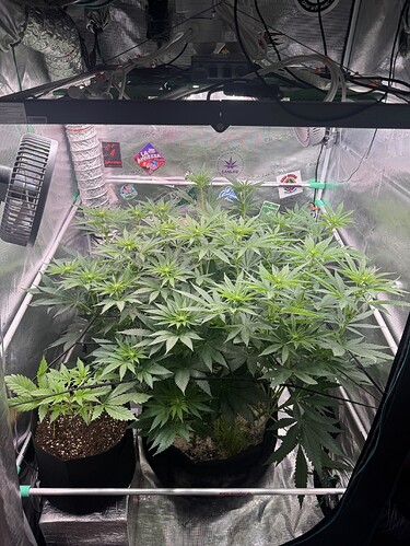 Growreport Bild 9