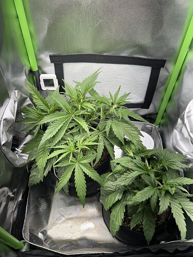 Growreport Bild 9