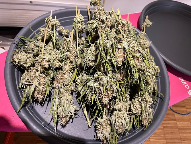 Growreport Bild 2