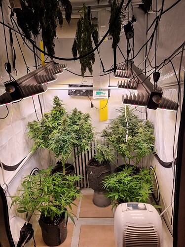 Growreport Bild 5