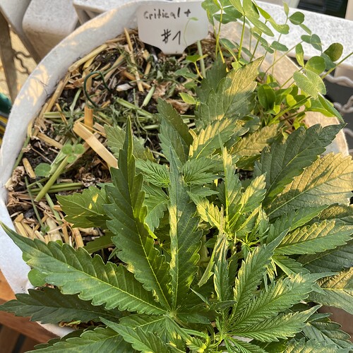 Growreport Bild 10