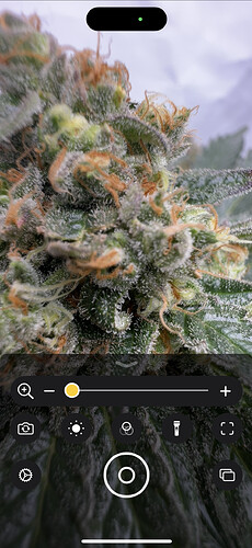 Growreport Bild 11