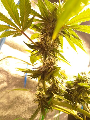 Growreport Bild 6