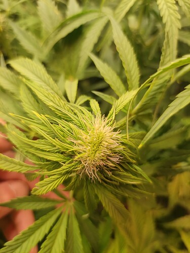 Growreport Bild 9