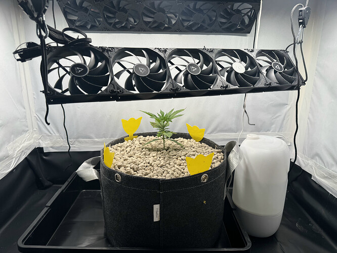 20240424_145958672_iOS