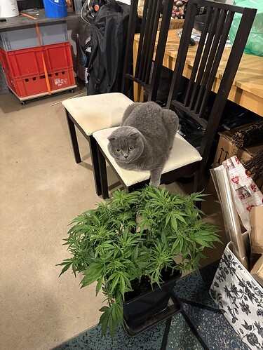 Growreport Bild 8