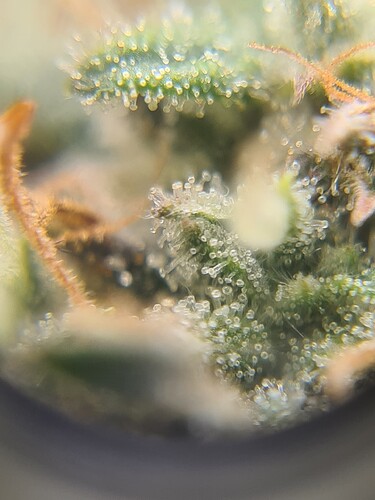 Growreport Bild 18