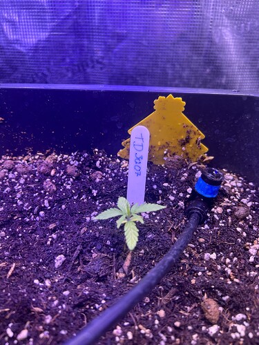 Growreport Bild 11