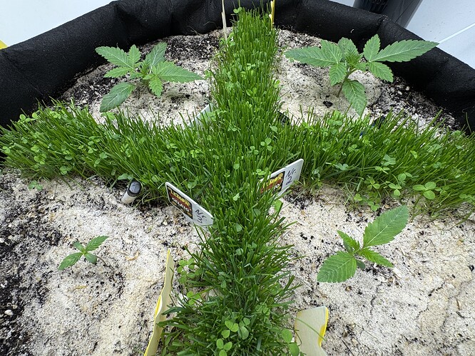 Growreport Bild 10