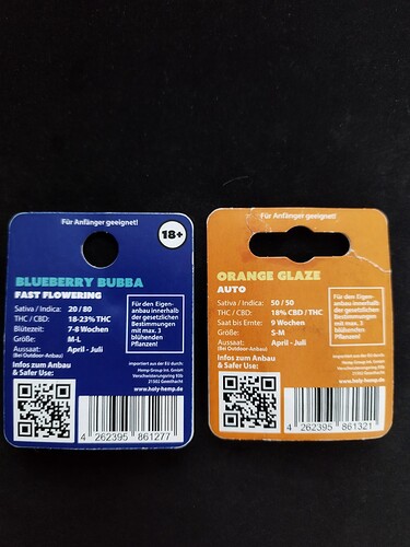 Zwei Cannabis-Samenpackungen, eine blau mit der Aufschrift "Blueberry Bubba" und eine orange mit der Aufschrift "Orange Glaze". Beide Packungen zeigen Informationen über die Sorte, THC/CBD-Gehalt, Blütezeit und Aussaat.