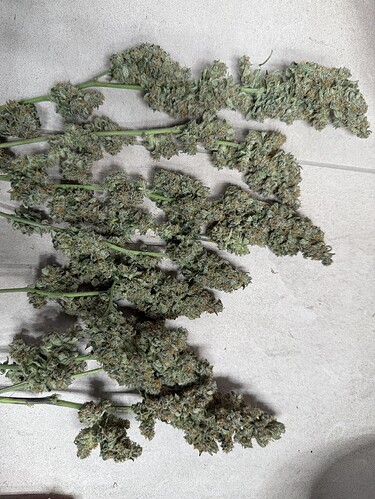 Growreport Bild 5