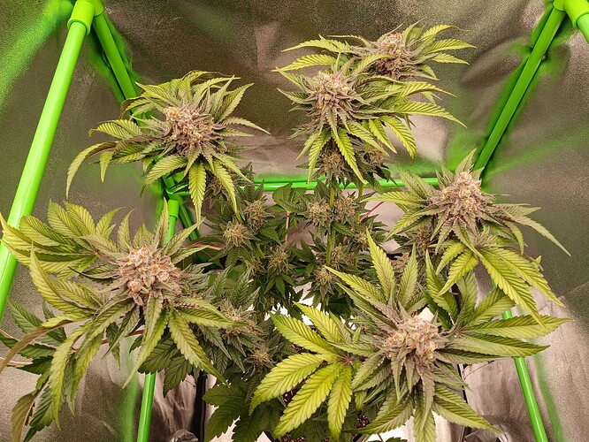 Growreport Bild 10