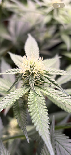 Growreport Bild 21