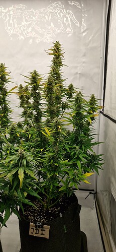 Growreport Bild 19