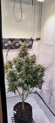 Growreport Bild 13