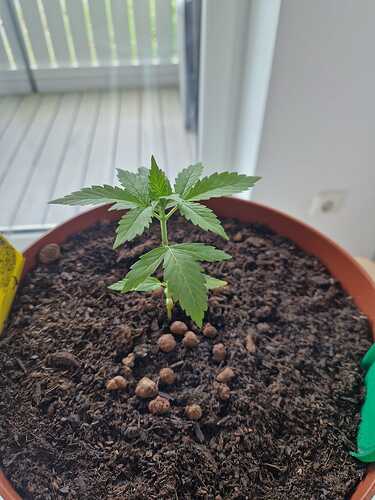 WhatsApp Image 2024-05-22 at 17.48.42 (1)