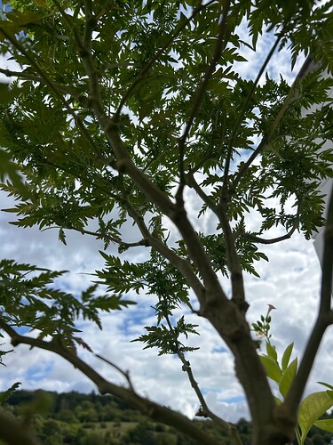 Growreport Bild 20