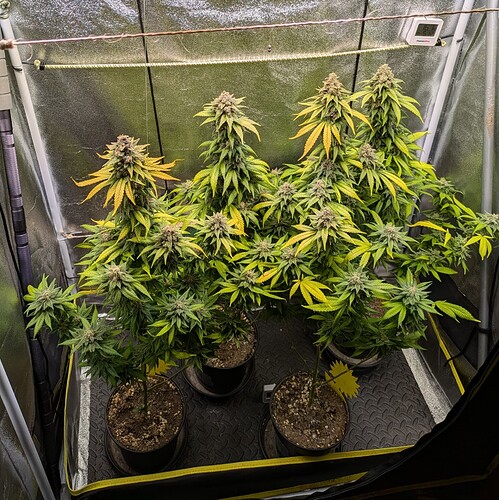 Growreport Bild 7