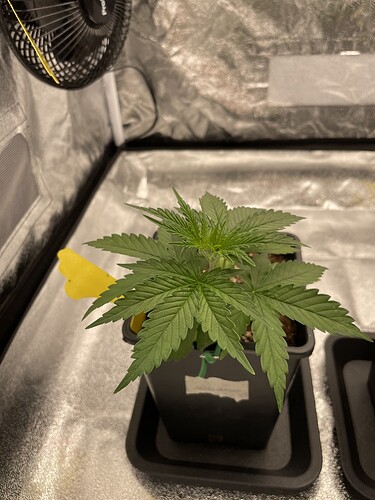 Growreport Bild 4