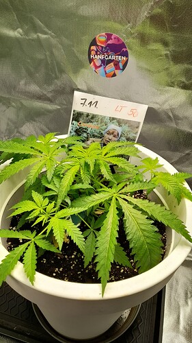 Growreport Bild 1