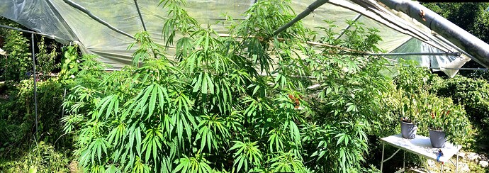 Growreport Bild 56