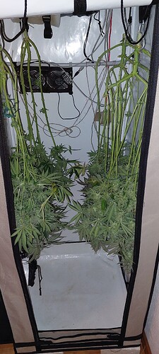 Growreport Bild 7