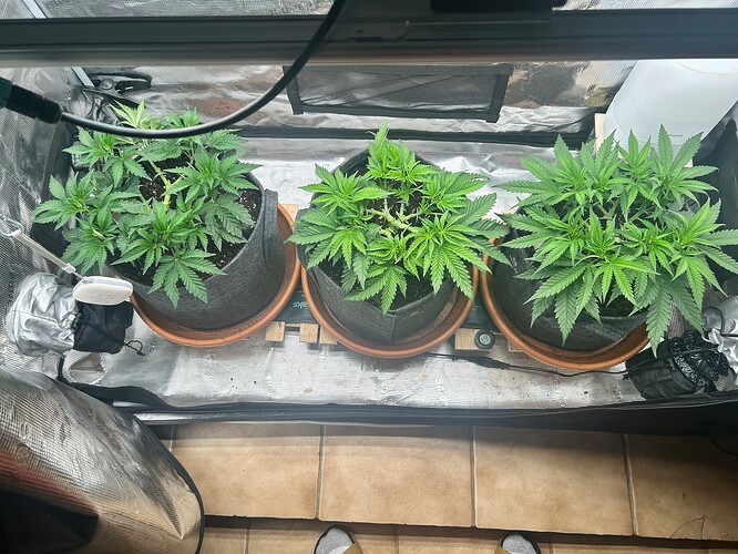 Growreport Bild 22
