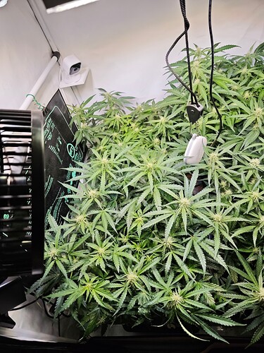 MVIMG_20251026_194039