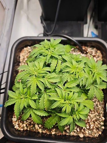 MVIMG_20251012_210446