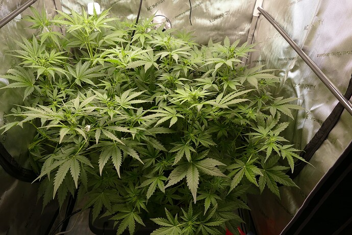 Growreport Bild 10