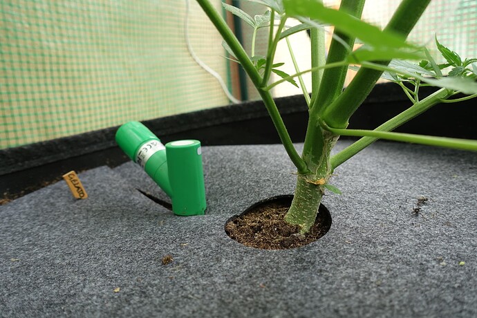 Growreport Bild 13