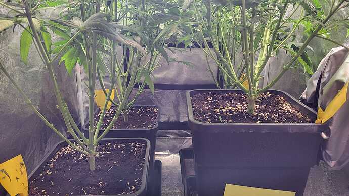 Growreport Bild 6