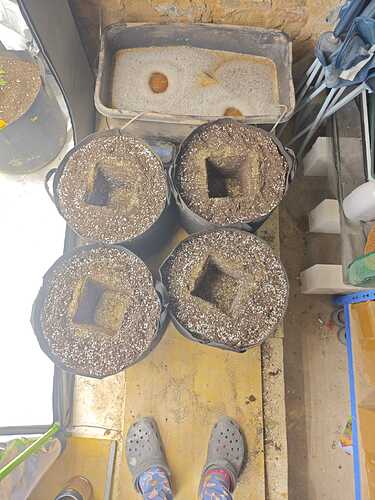 Growreport Bild 2