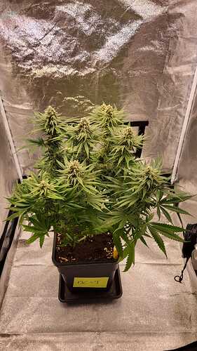 Growreport Bild 16