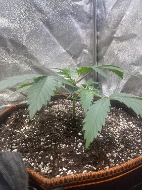 Growreport Bild 16