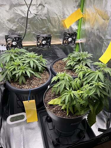 Growreport Bild 4