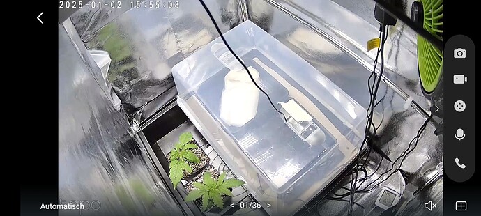 Screenshot_2025-01-02-15-55-09-259_com.tplink.iot