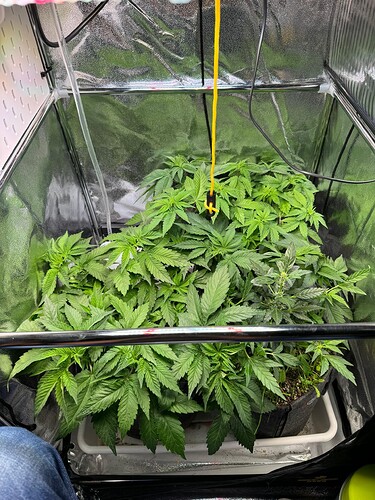 WhatsApp Image 2024-07-02 at 19.33.40