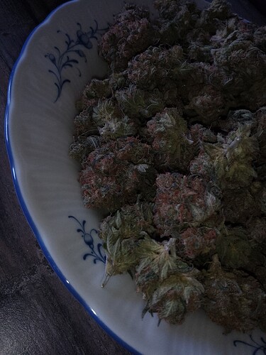 IMG_20240810_194438_406