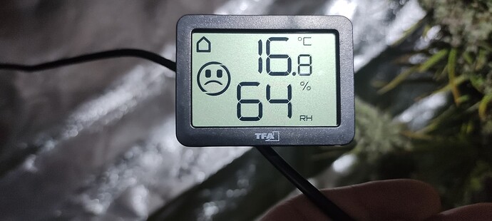 Growreport Bild 37