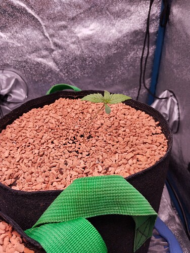 IMG_20241123_181602 - Kopie