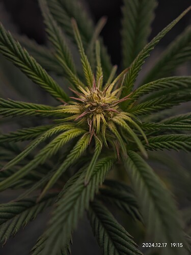 Growreport Bild 6