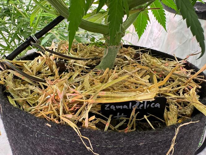 Growreport Bild 9