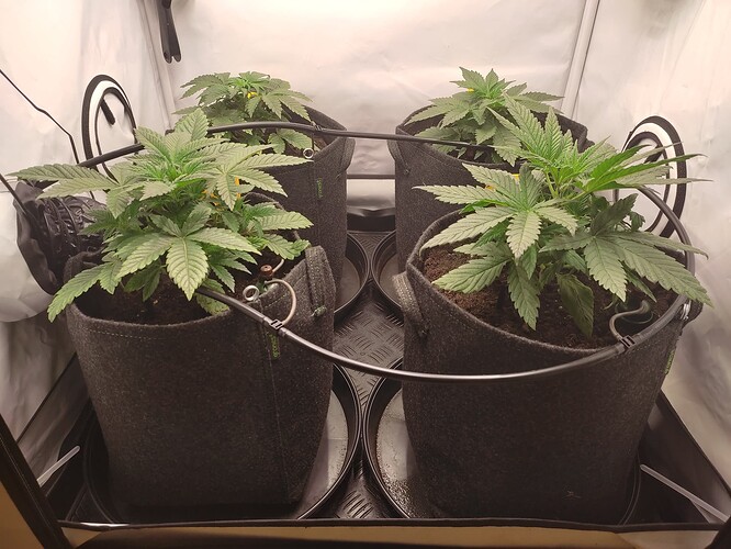 Growreport Bild 14