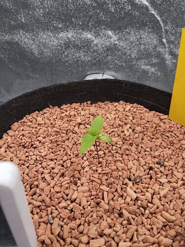 Growreport Bild 19