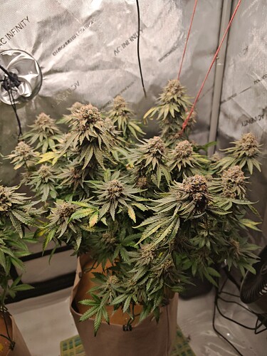 Growreport Bild 8