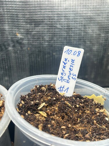 Growreport Bild 30